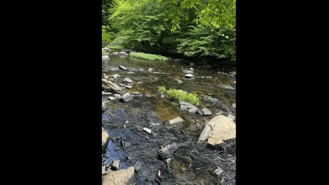 test-your-survival-instincts-by-spotting-the-deadly-snake-in-under-10-seconds